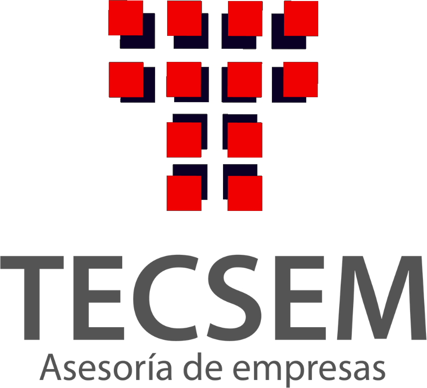 Tecsem · Asesoría de empresas